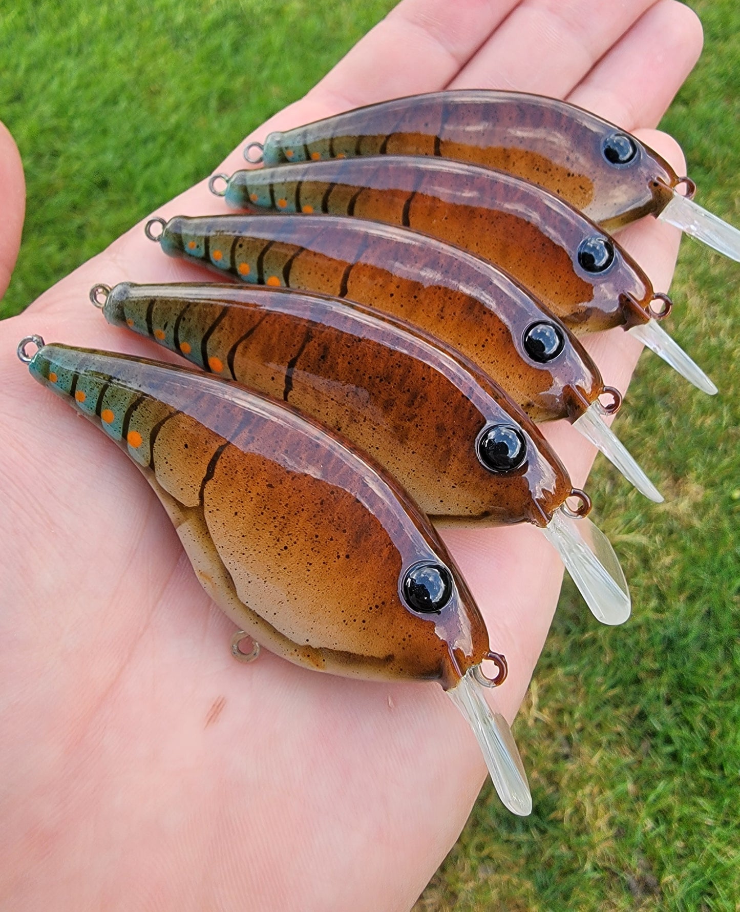 Custom Berkley Frittside 5 Biggun'