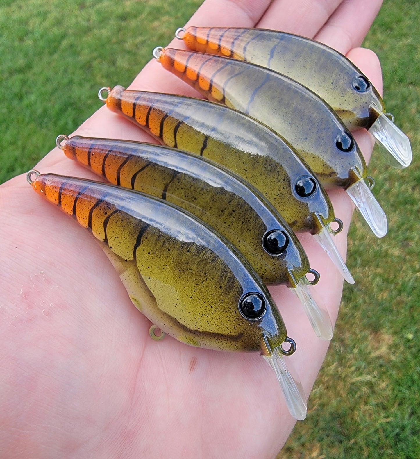 Custom Berkley Frittside 5 Biggun'