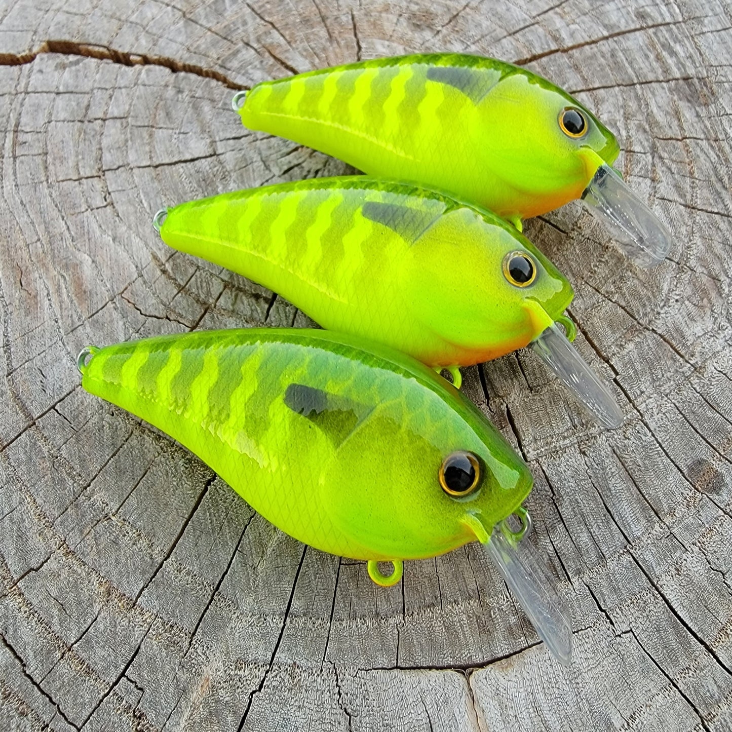 Custom Booyah XCS 100