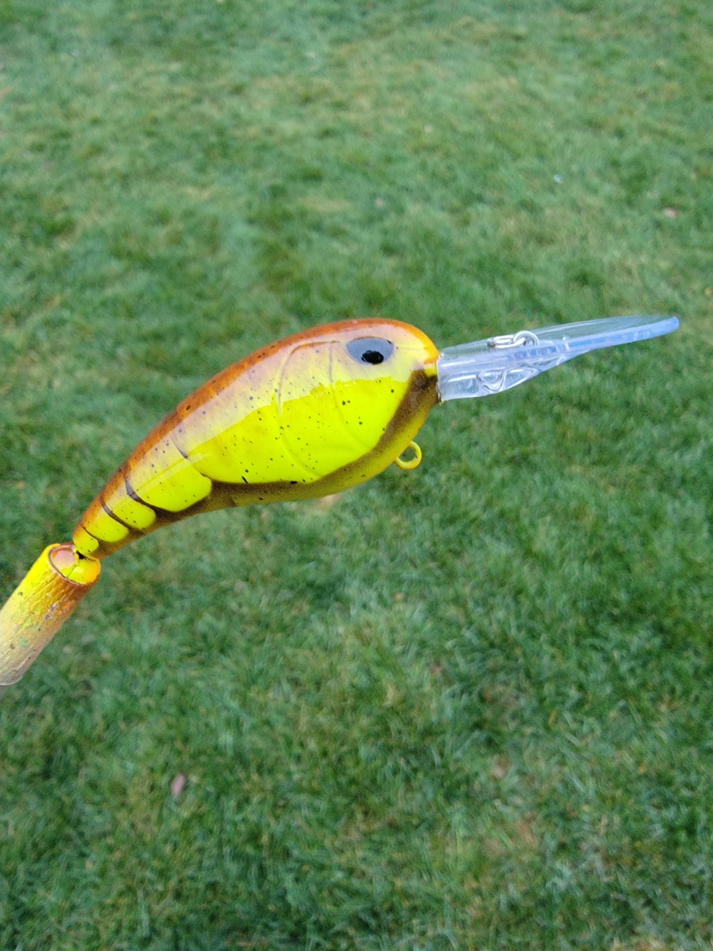 Custom SPRO RkCrawler 55