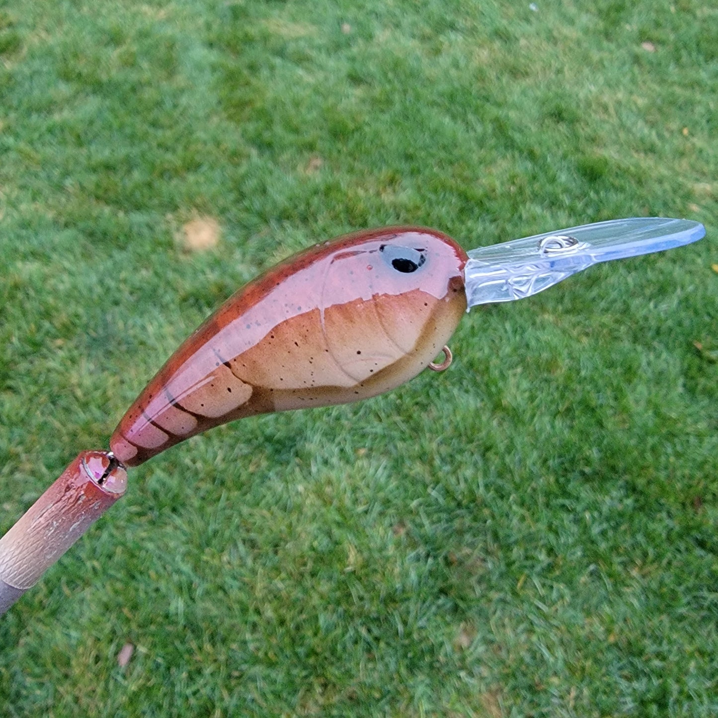 Custom SPRO RkCrawler 55