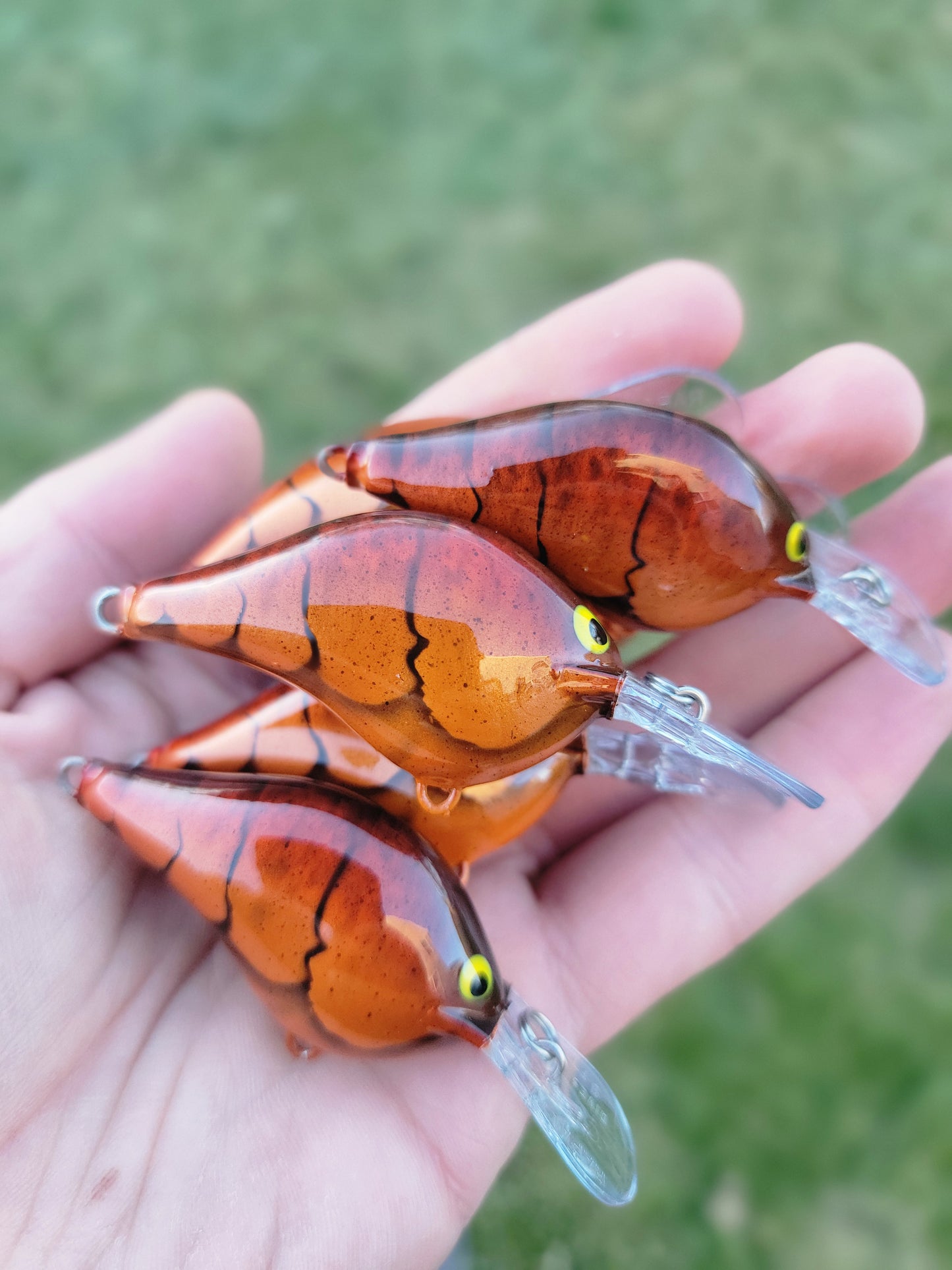 Custom Rapala DT-6