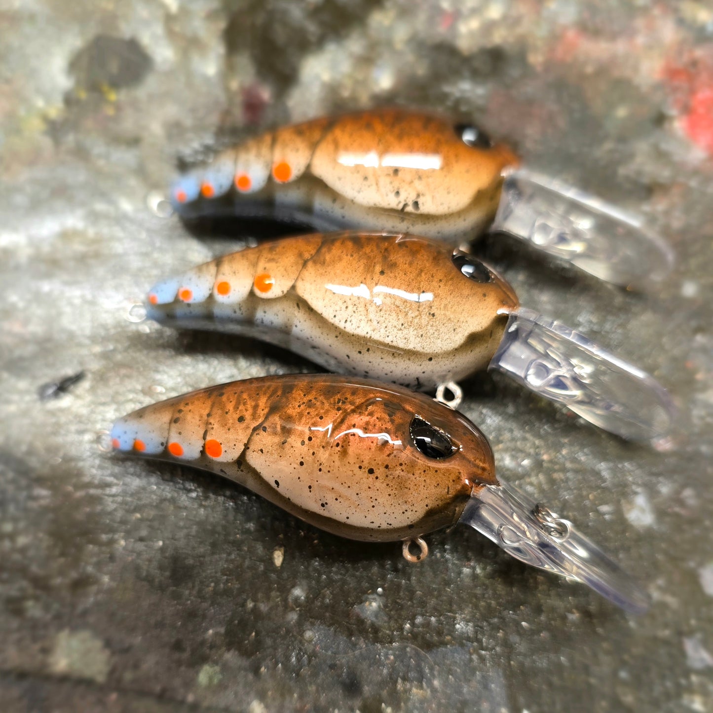 Custom SPRO RkCrawler 50