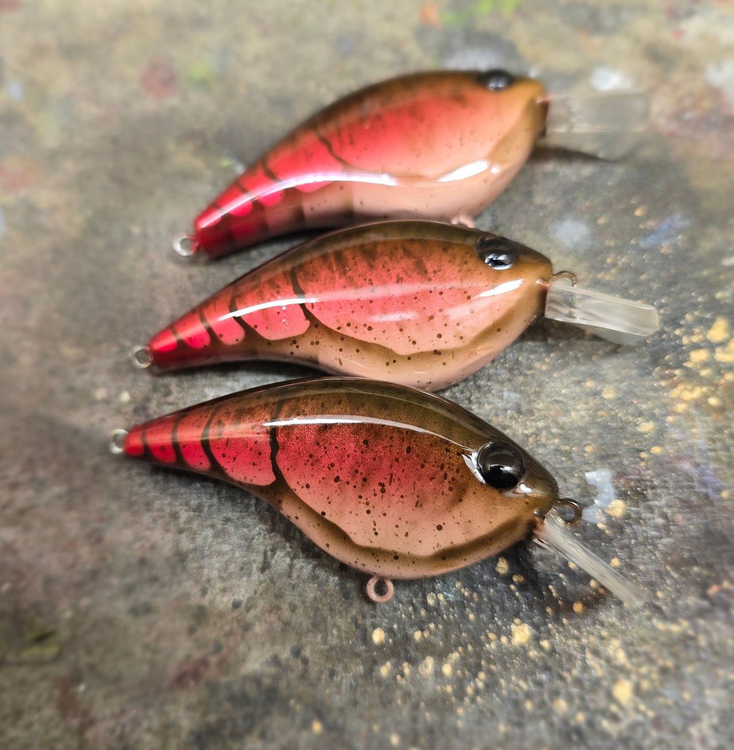 Custom Berkley Frittside 5