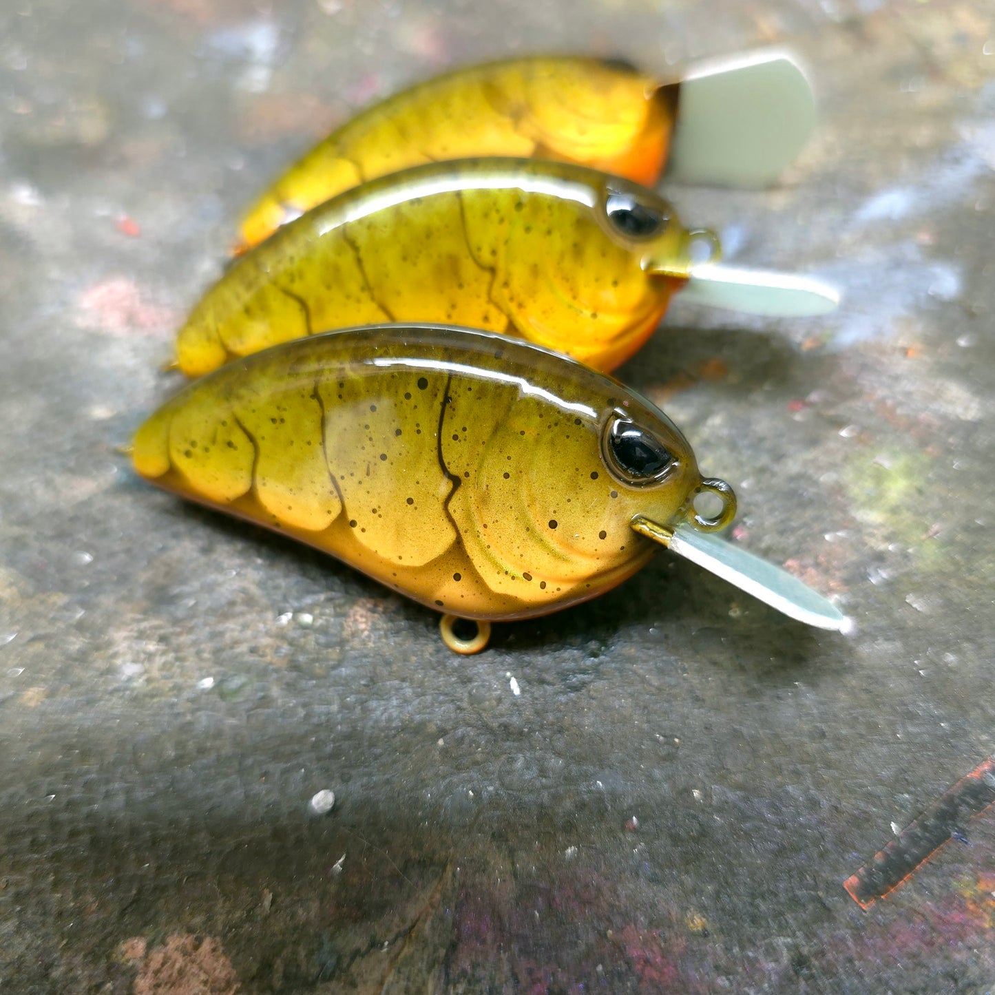 Custom SPRO Little John 50