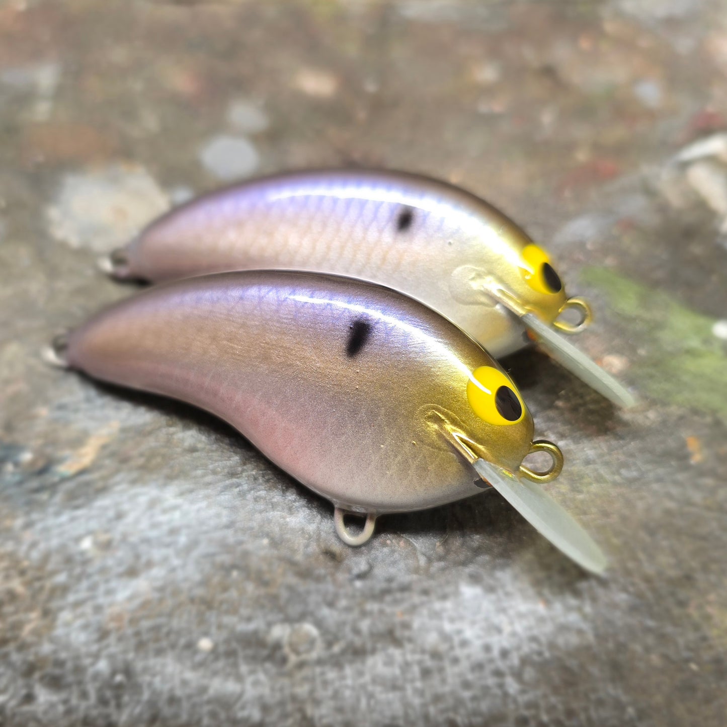Custom Rapala OG Tiny 4