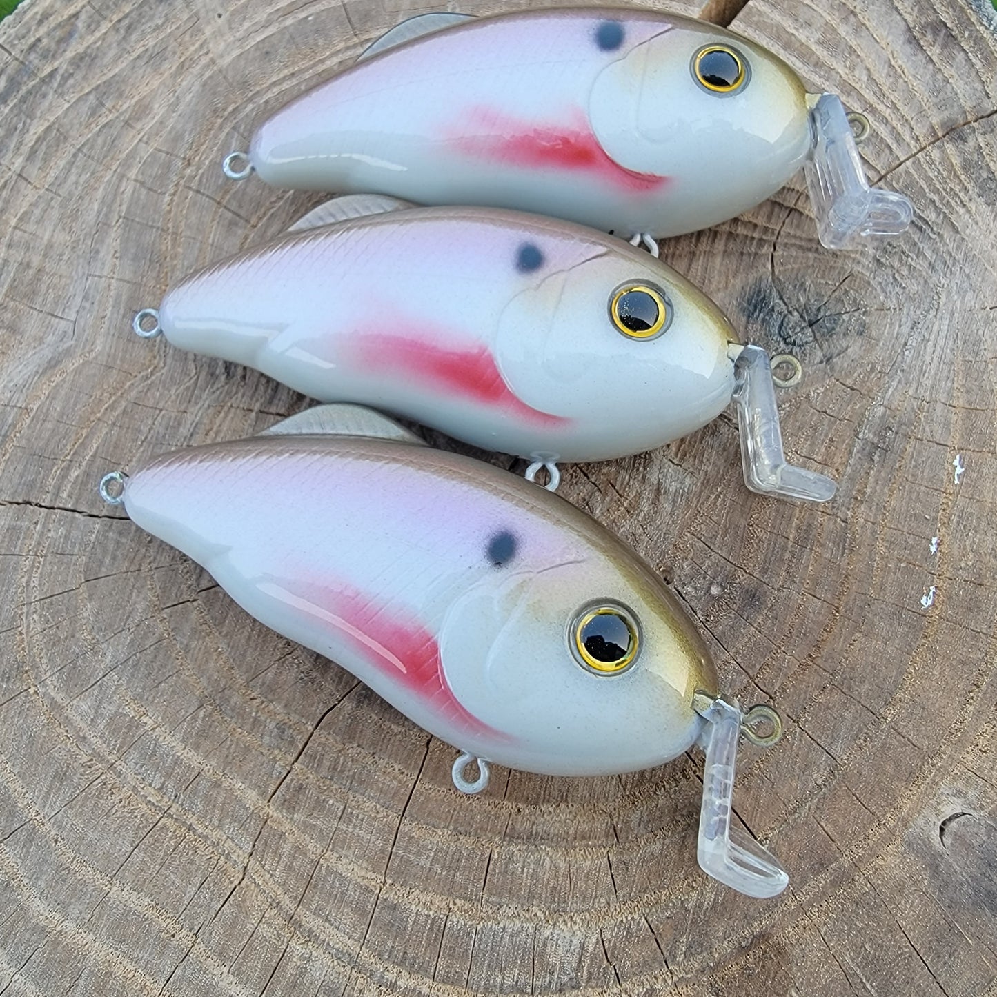 Custom Strike King Hybrid Hunter