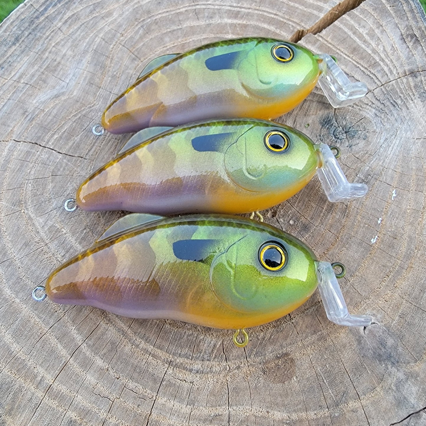 Custom Strike King Hybrid Hunter