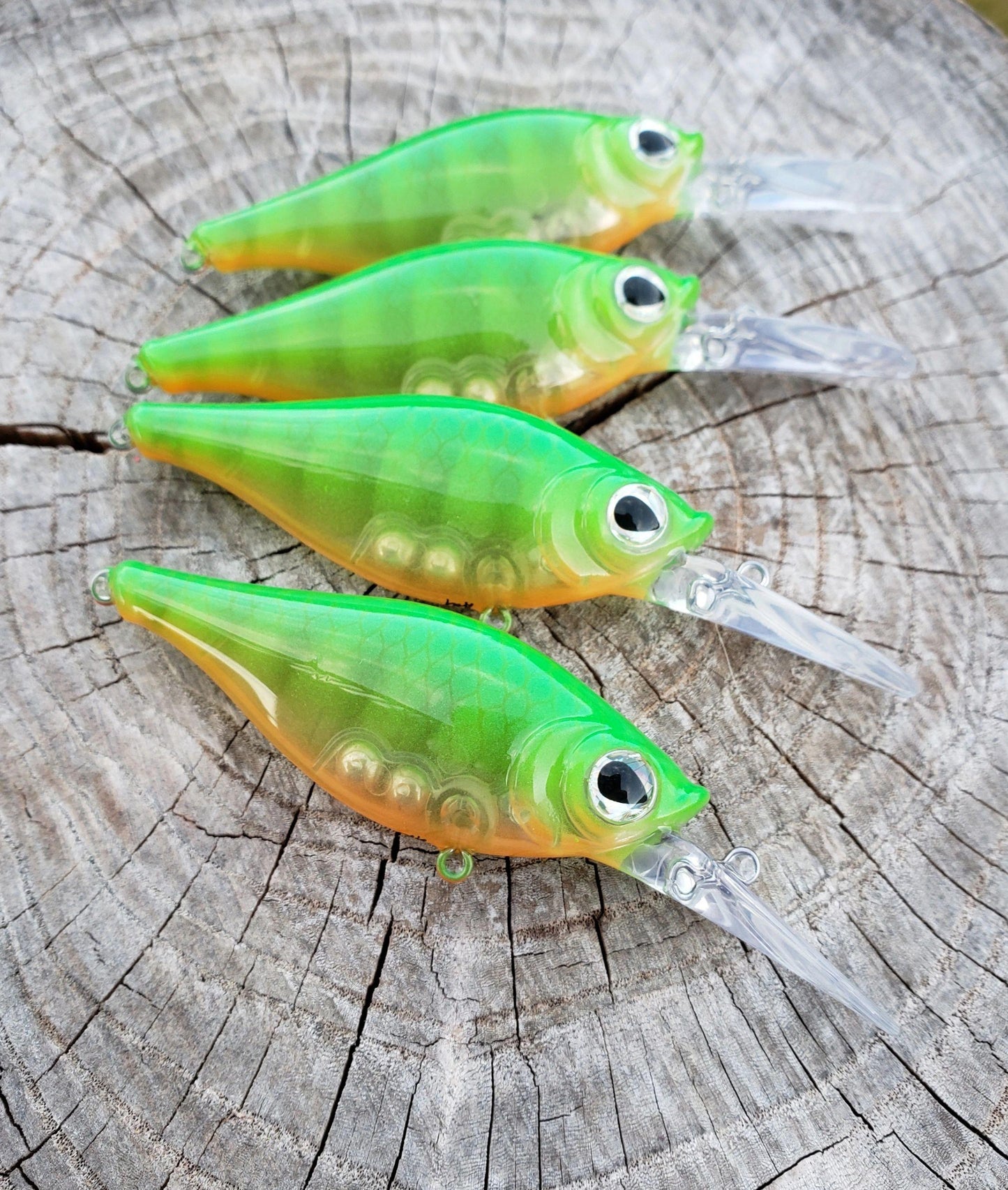 WNC Shaky Shad