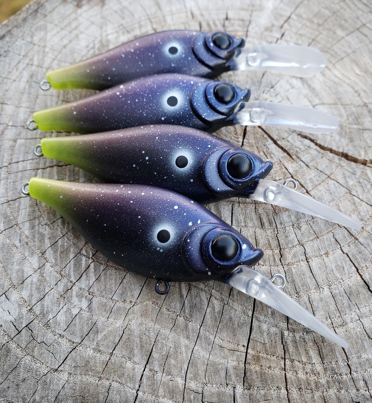 WNC Shaky Shad