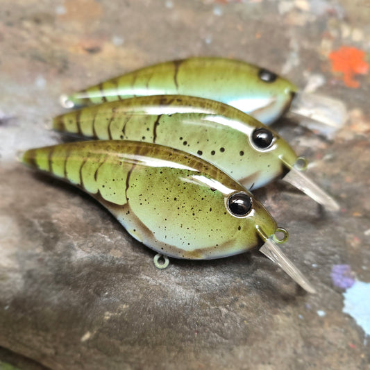 Custom Berkley Frittside 5 Biggun'