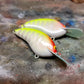 Custom Rapala OG Deep Tiny 7