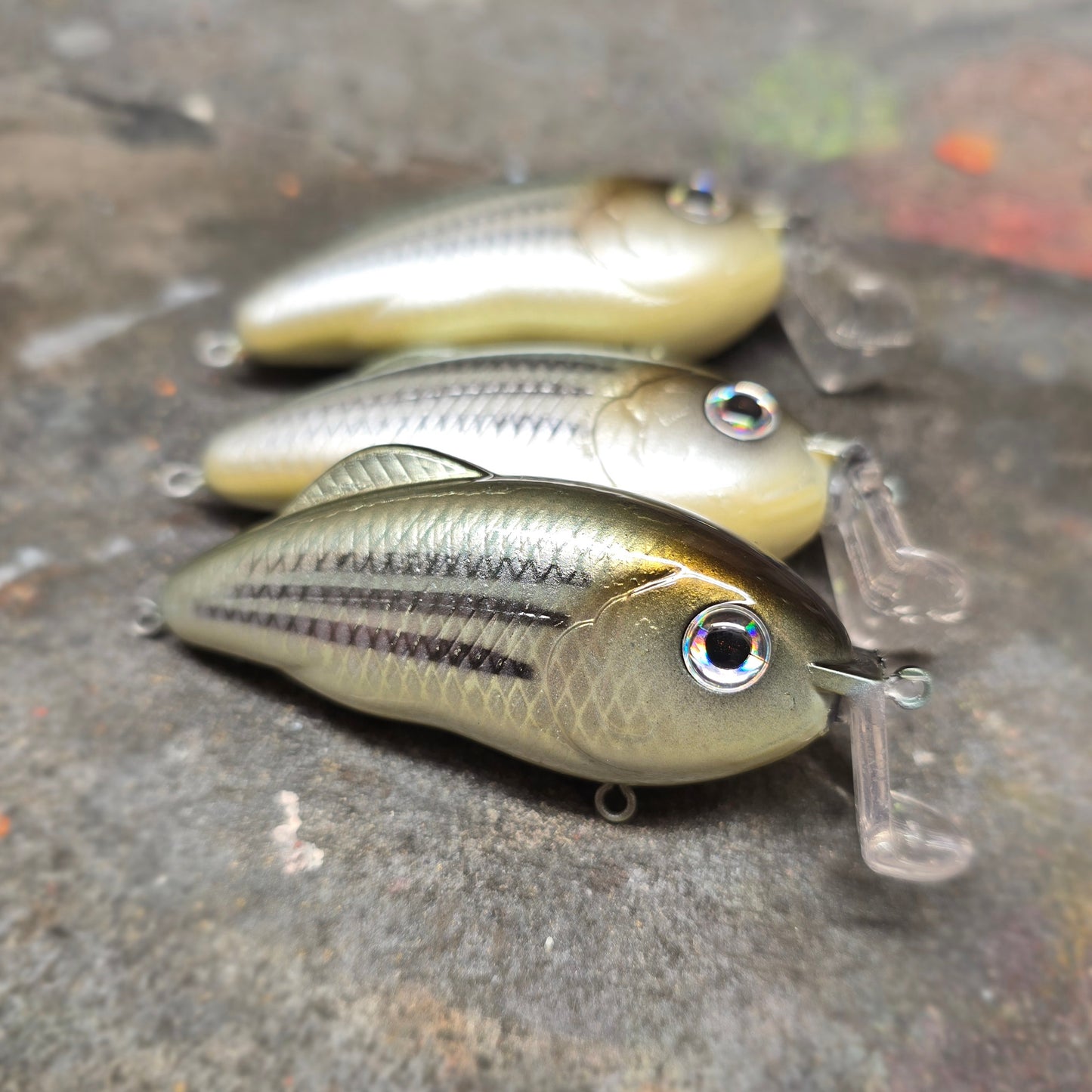 Custom Strike King Hybrid Hunter Jr.