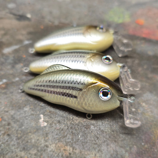 Custom Strike King Hybrid Hunter Jr.
