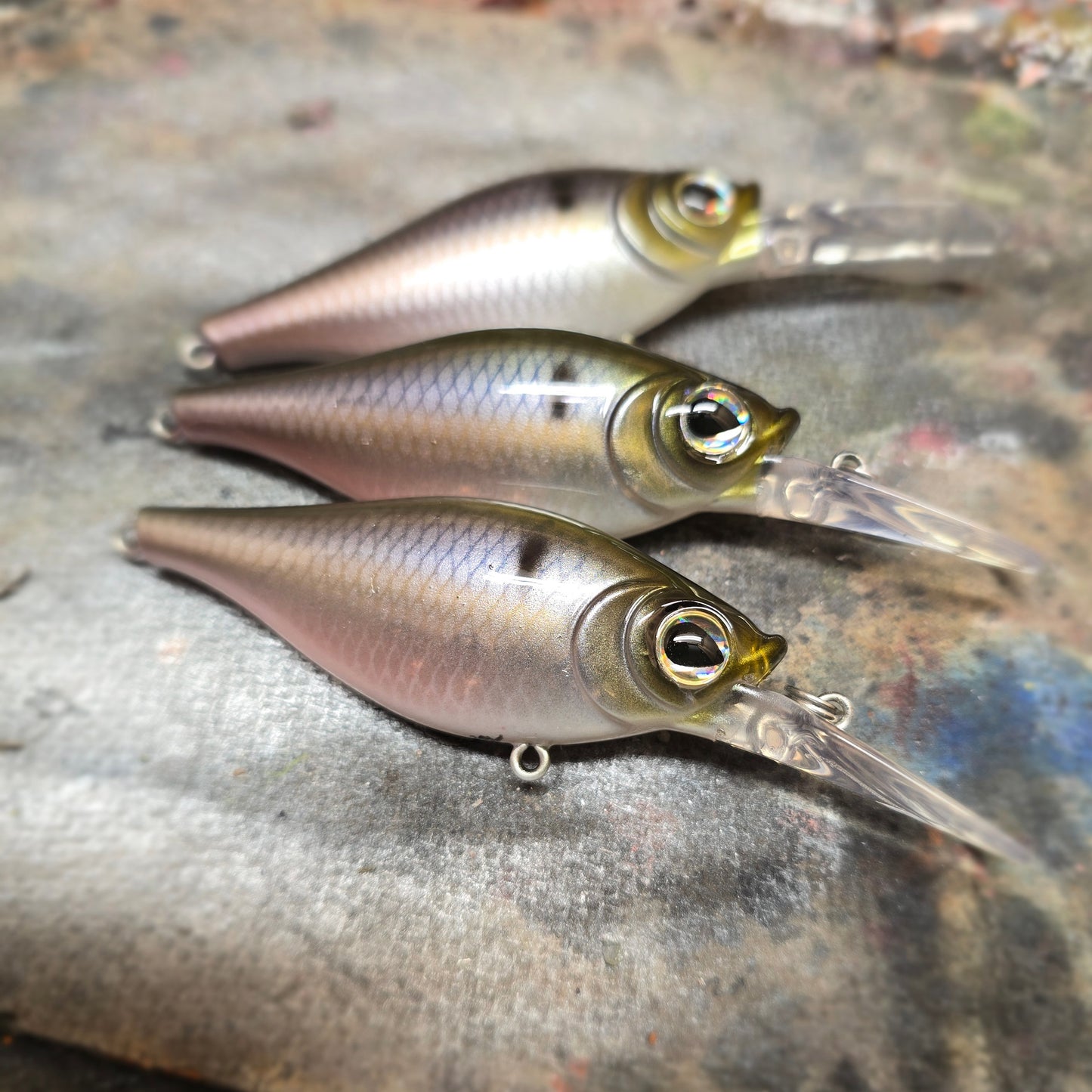WNC Shaky Shad