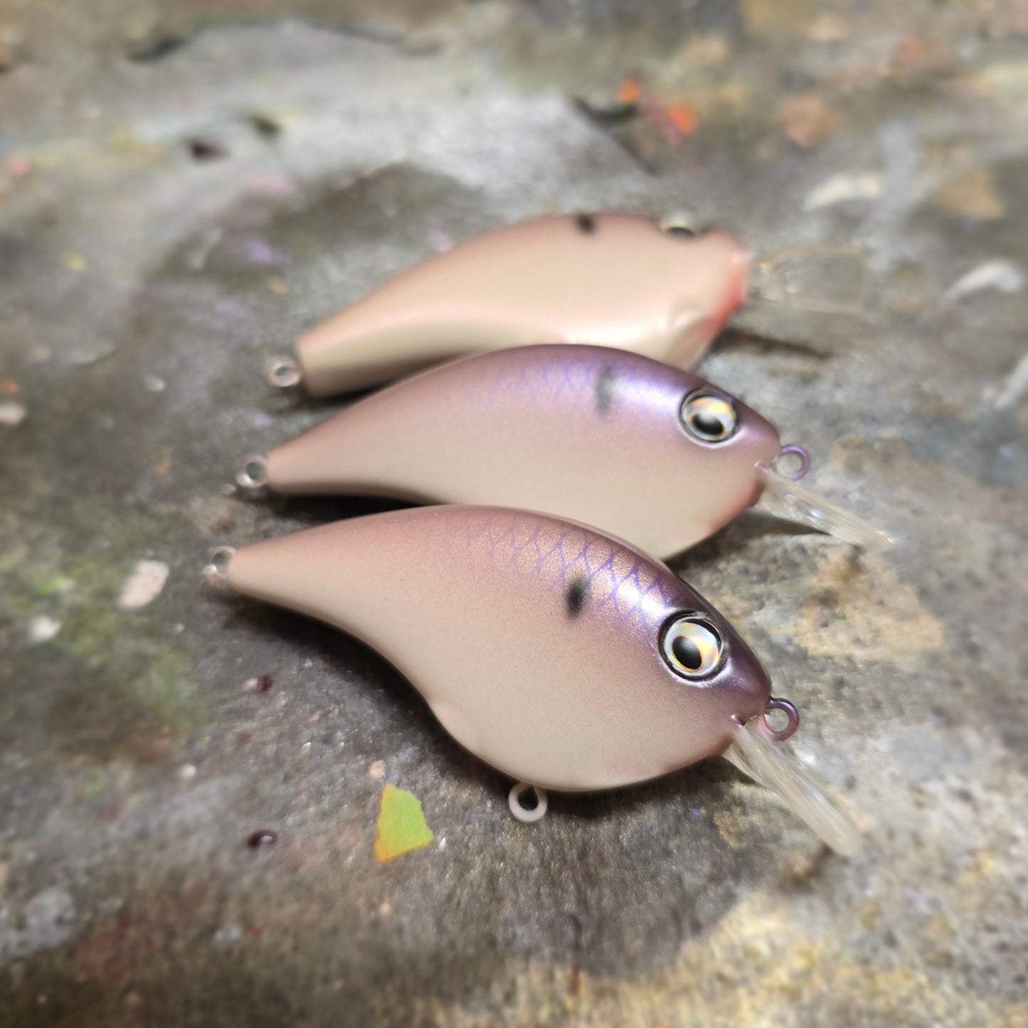 Custom Berkley Frittside 5 Jr.