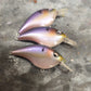 Custom Berkley Frittside 5 Jr.