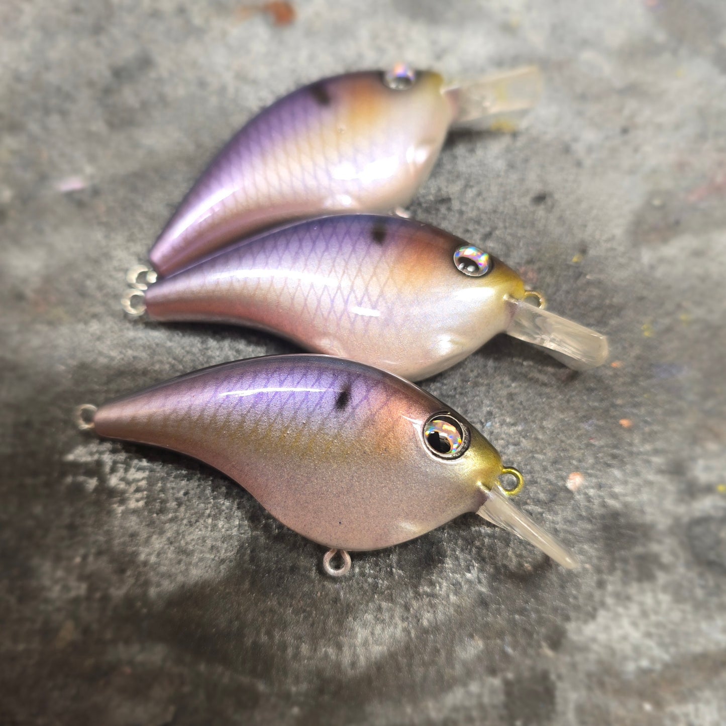 Custom Berkley Frittside 5 Jr.