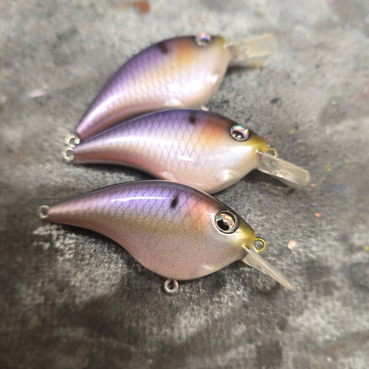 Custom Berkley Frittside 5 Jr.