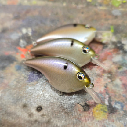 Custom Berkley Frittside 5 Jr.