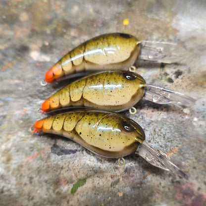 Custom SPRO RkCrawler 50