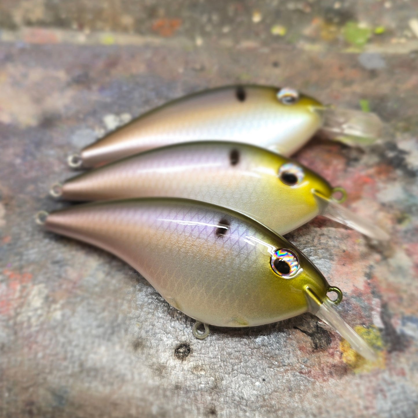 Custom Berkley Frittside 5 Biggun'