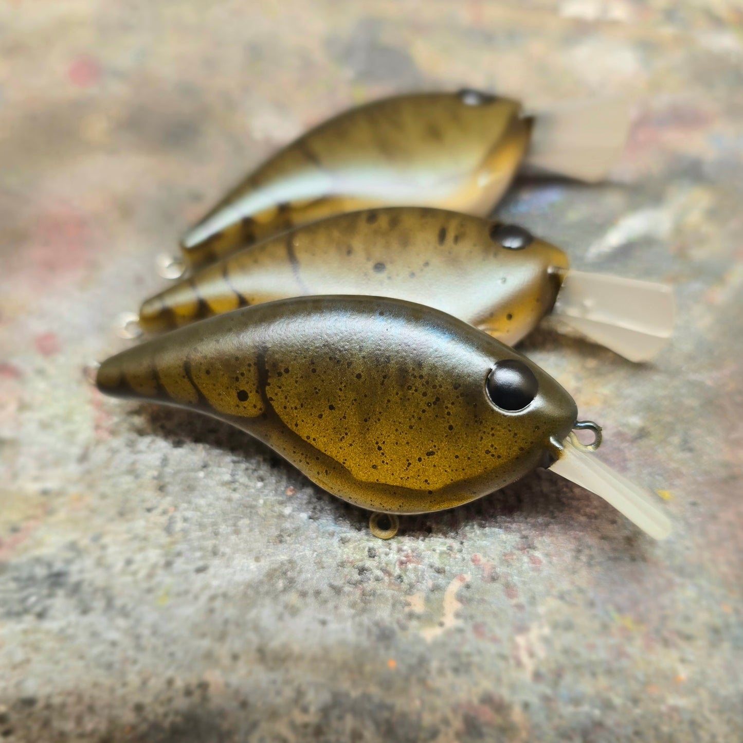 Custom Berkley Frittside 5