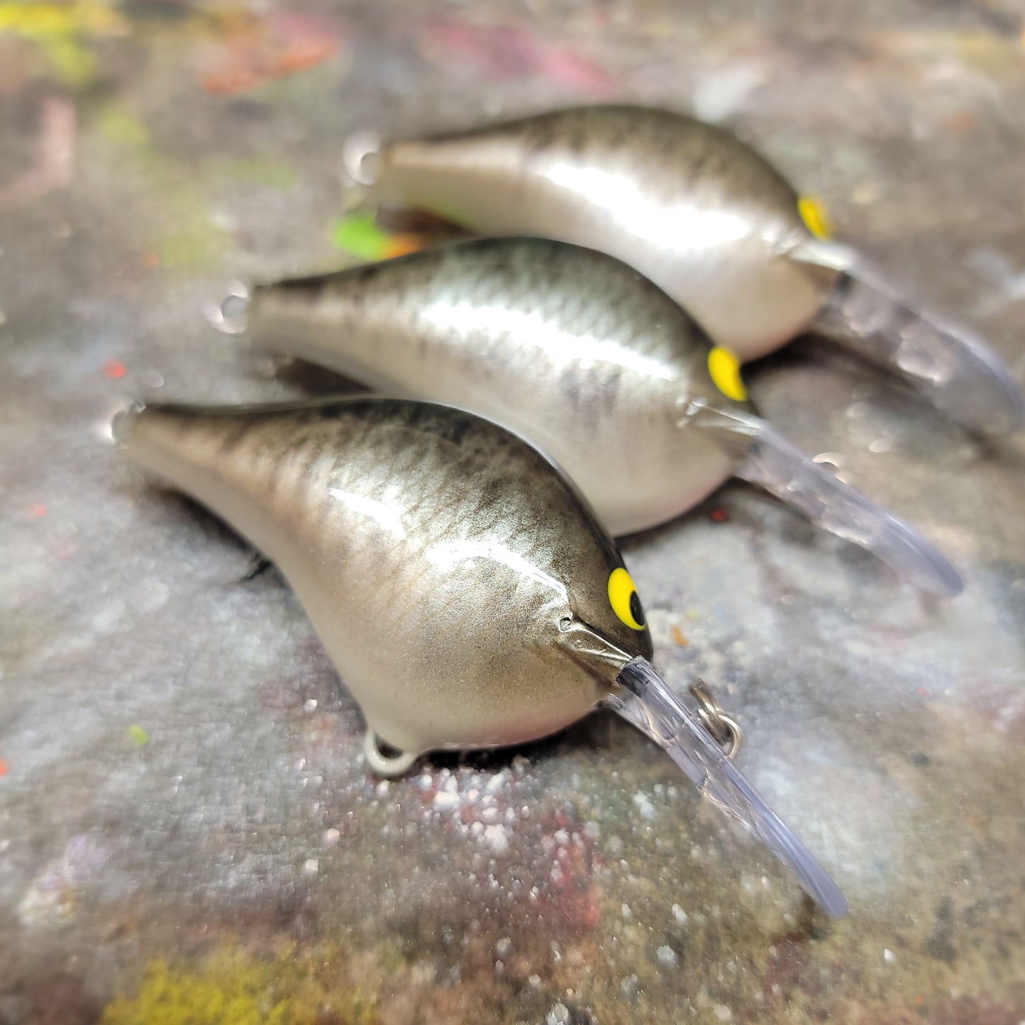 Custom Rapala DT-6
