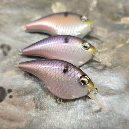 Custom Berkley Frittside 5 Jr.