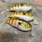 Custom Strike King Hybrid Hunter Jr.