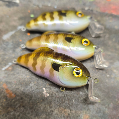Custom Strike King Hybrid Hunter Jr.