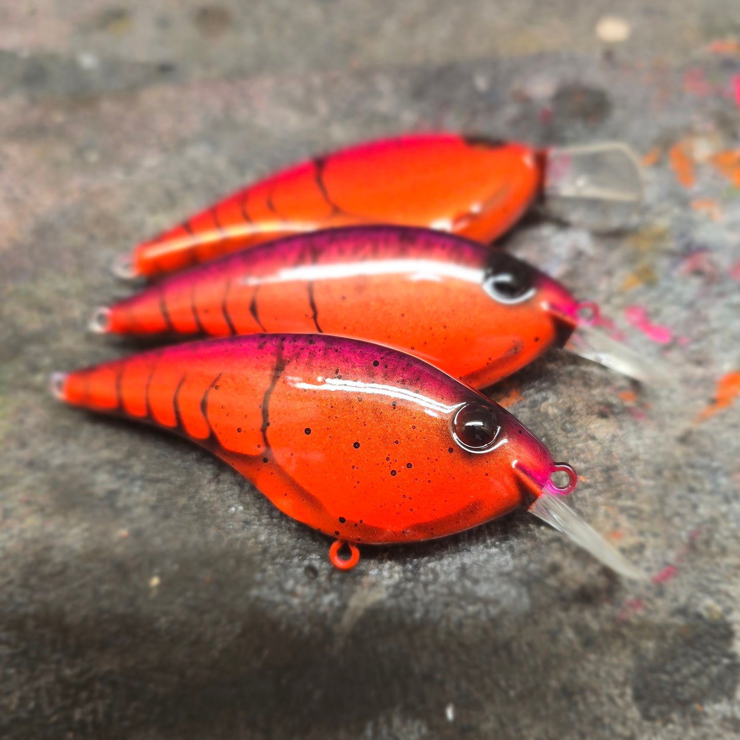 Custom Berkley Frittside 5 Biggun'