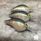 Custom Rapala DT-6
