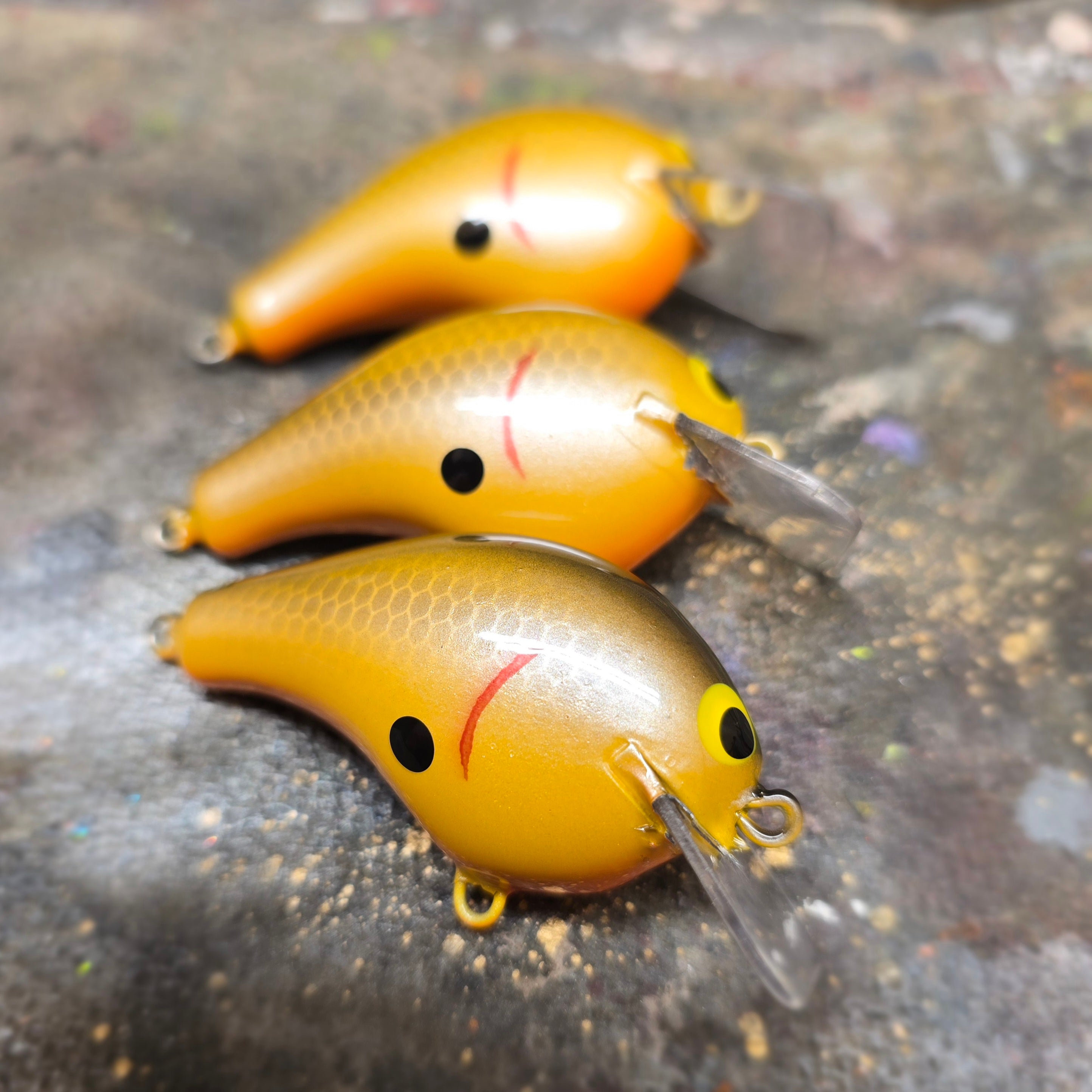 ルアー・フライ bagley balsa B1 Custom Bagley Balsa B1 – Horseshoe Tackle
