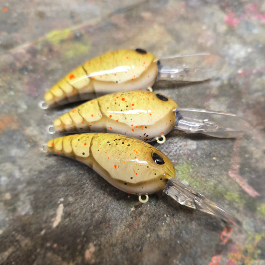 Custom SPRO RkCrawler 55