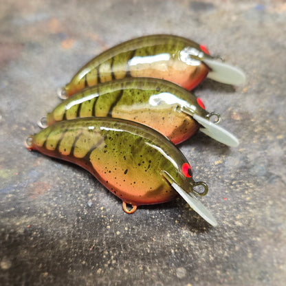 Custom Rapala OG Tiny 4