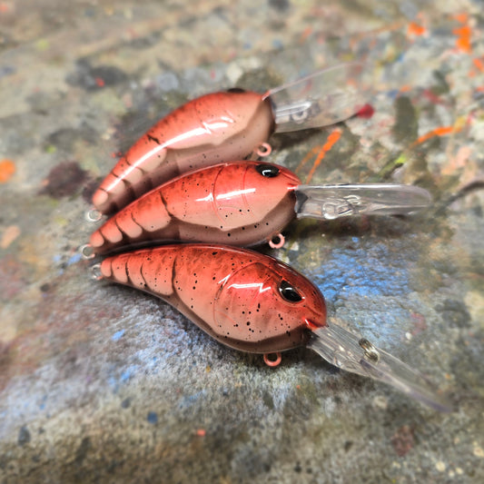 Custom SPRO RkCrawler 55