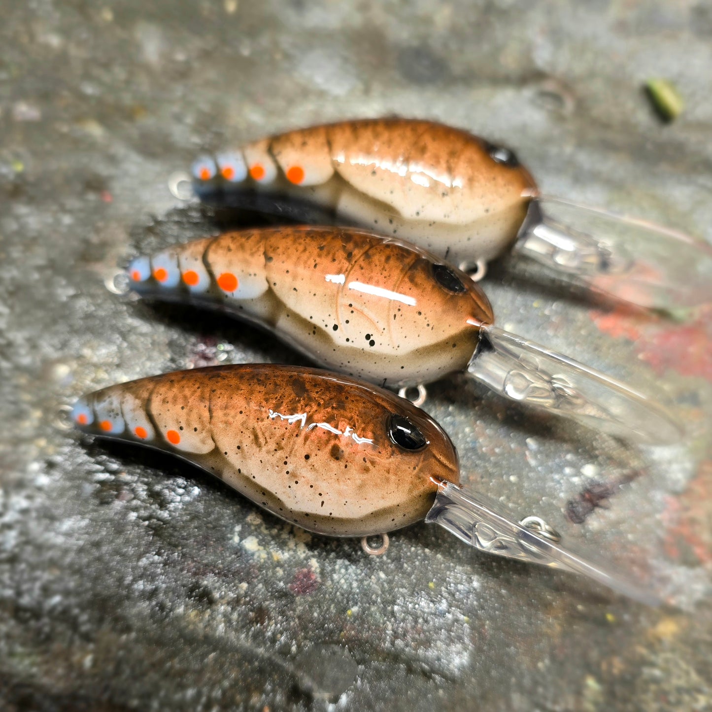 Custom SPRO RkCrawler 55