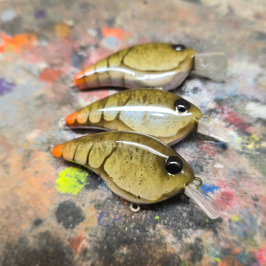 Custom Berkley Frittside 5 Jr.