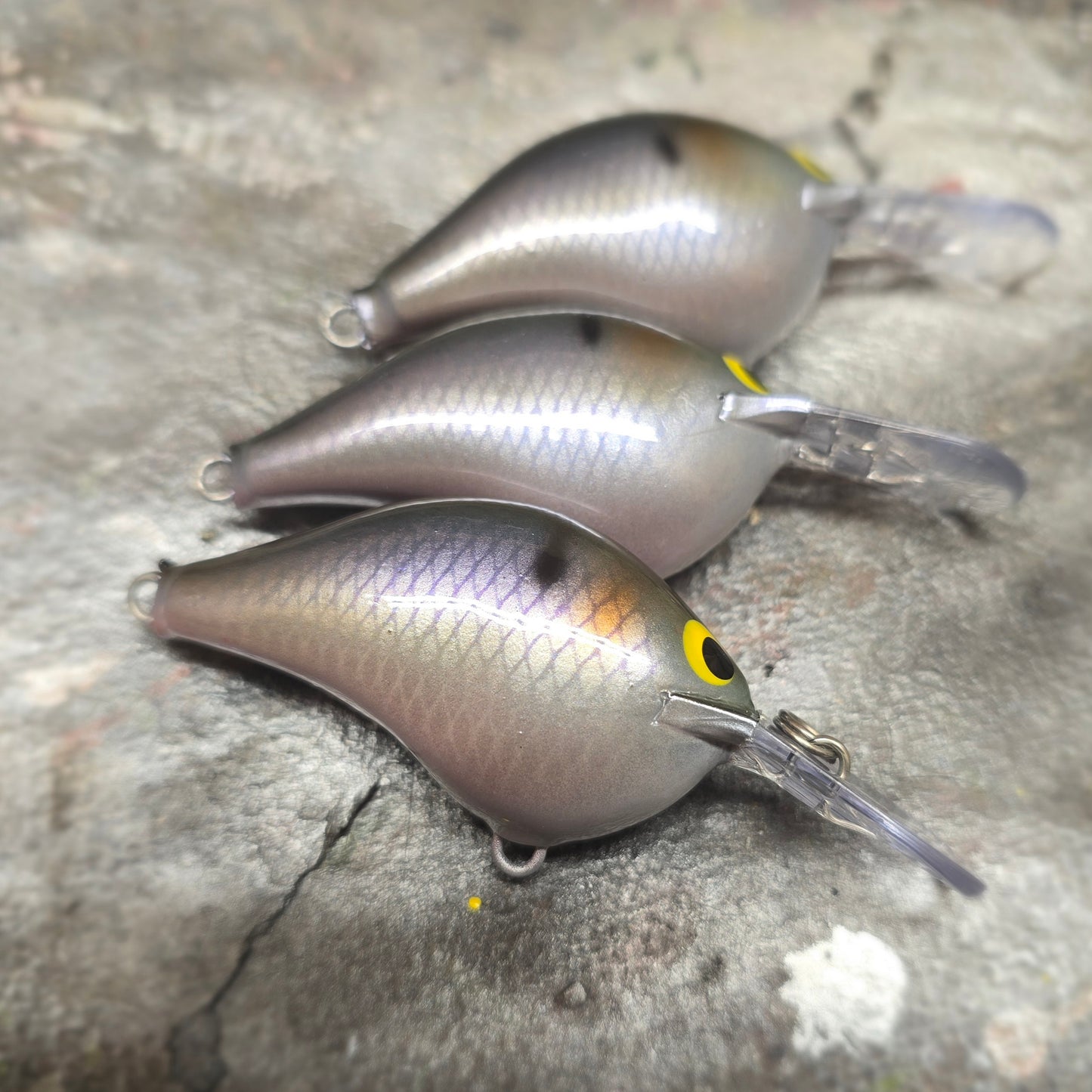 Custom Rapala DT-6