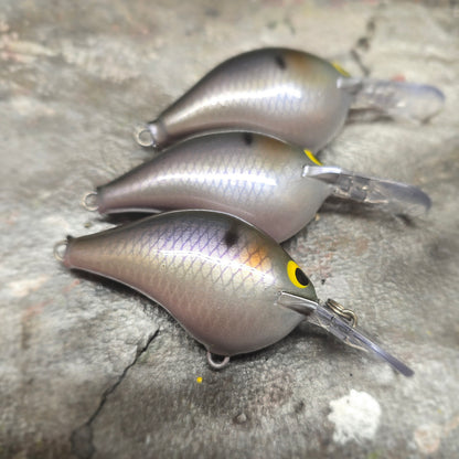 Custom Rapala DT-6