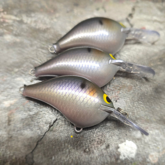 Custom Rapala DT-6