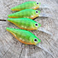 WNC Shaky Shad